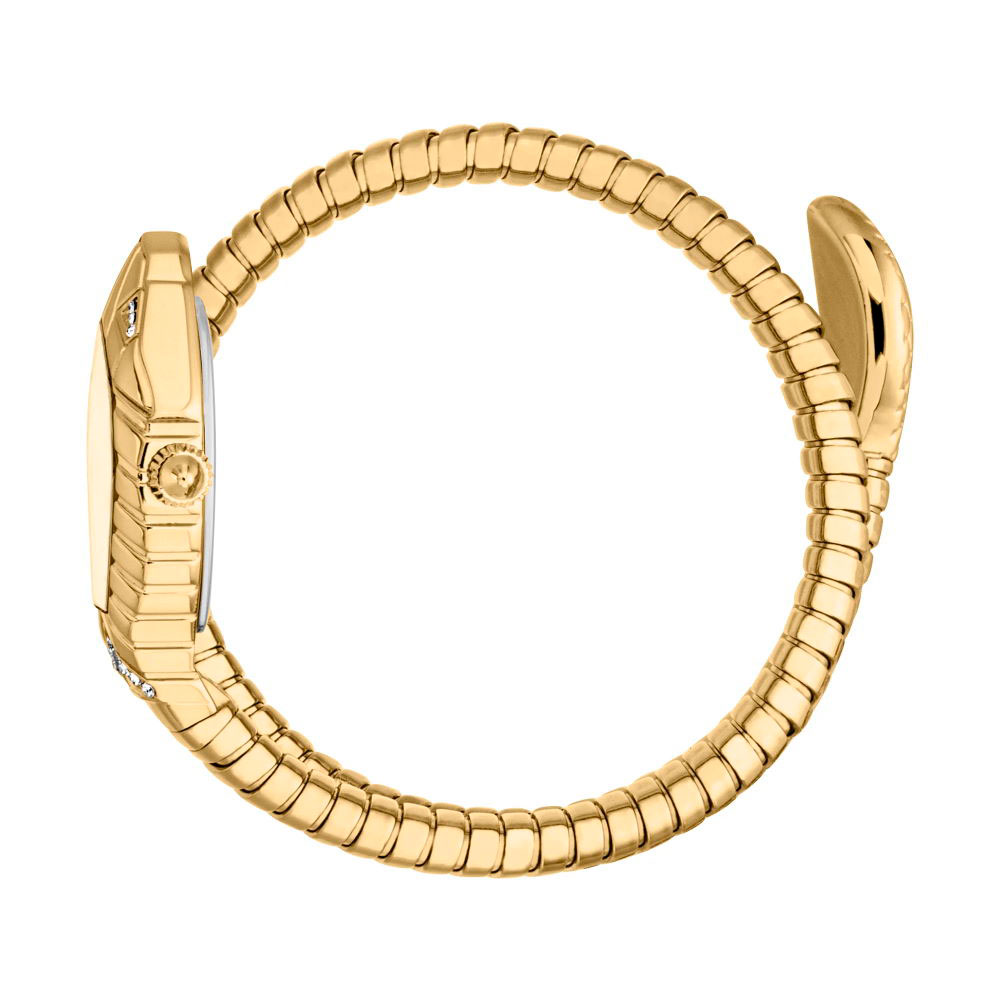 Just Cavalli JC1L356M0025